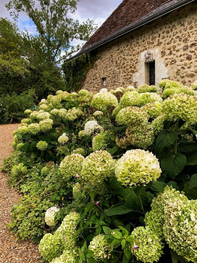 Bed and Breakfast Le Manoir De Maucartier Monnaie Esterno foto